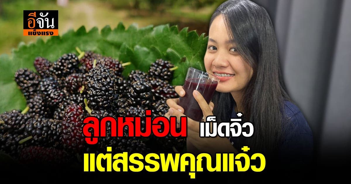 ชะลอความแก่ ด้วยน้ำลูกหม่อนวันละแก้วมั้ย กินง่าย ถ่ายก็คล่อง