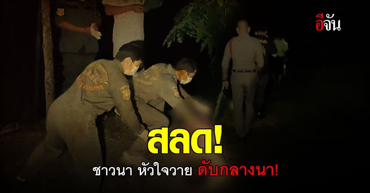 เศร้า! ชาวนาขอนแก่น หัวใจวายดับกลางทุ่งนา  ทั้งที่จะเตรียมดำนาอีกไม่กี่วัน