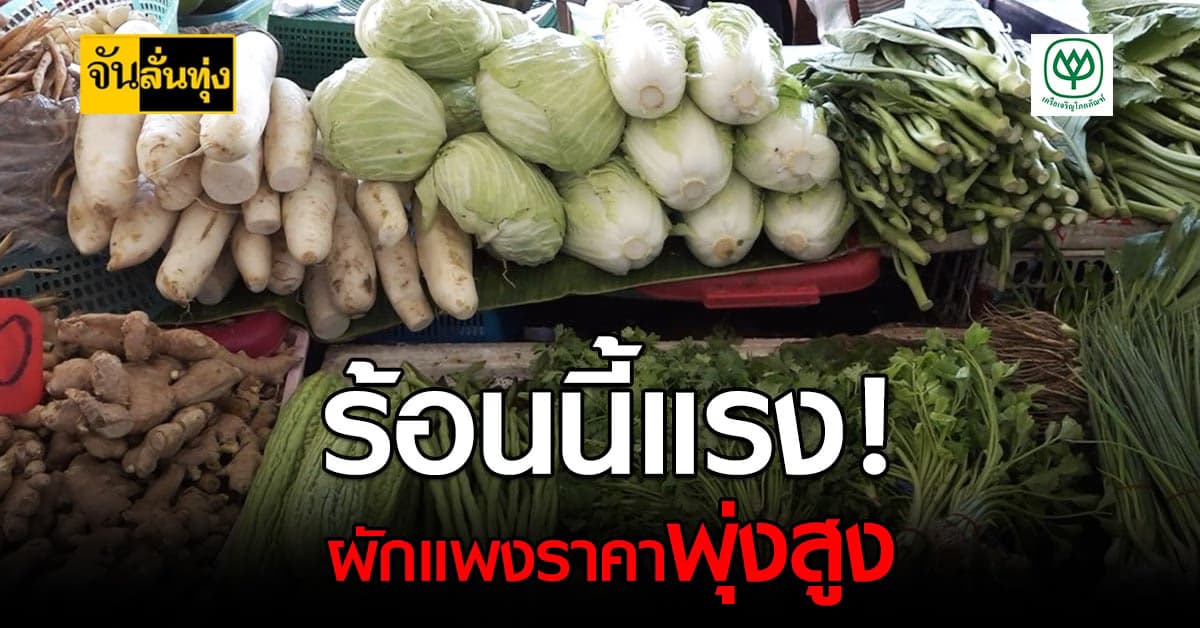 อากาศร้อนจัด ผักขึ้นราคา แตงกวาราคาพุ่งเกือบเท่าตัว