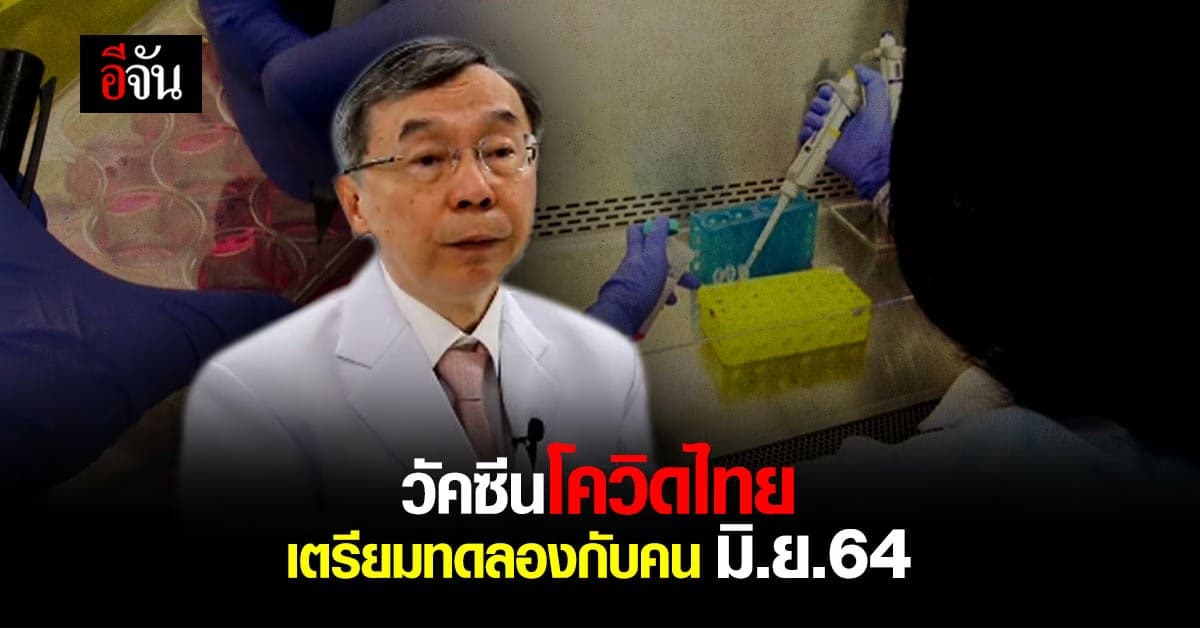 วัคซีน ChulaCov19 ใกล้ความจริง เริ่มทดลองกับมนุษย์ มิ.ย.64 : วัคซีนโควิดไทย