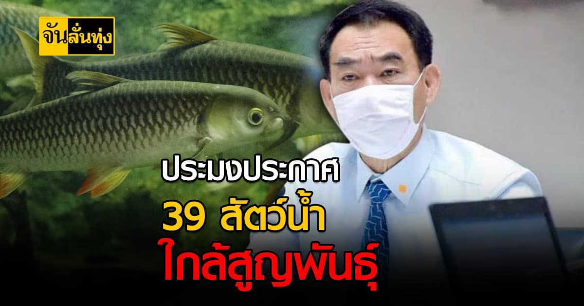 เผย 39 สัตว์น้ำ หายากใกล้สูญพันธุ์ปีนี้ กรมประมงยันเร่งเดินหน้าอนุรักษ์