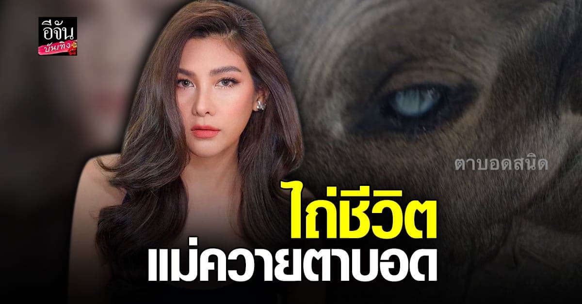 นุ่น รมิดา เป็นสะพานบอกบุญ ช่วยไถ่ชีวิตแม่ควายตาบอดและลูก