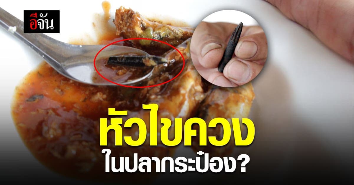 หนุ่มใหญ่ เปิดปลากระป๋อง ผงะเจอหัวไขควง ฝากผู้ผลิตใส่ใจความสะอาด