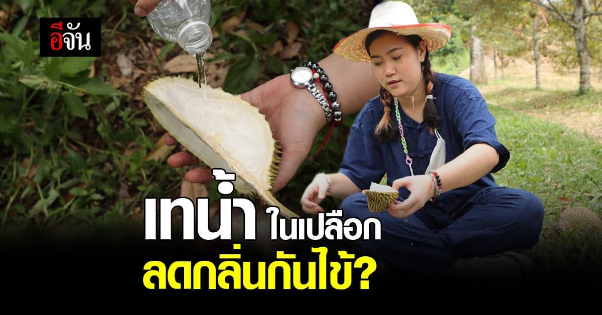 คนโบราณบอกมา หลังกินทุเรียน เทน้ำใส่เปลือกกลืนตาม ลดกลิ่นกันไข้?