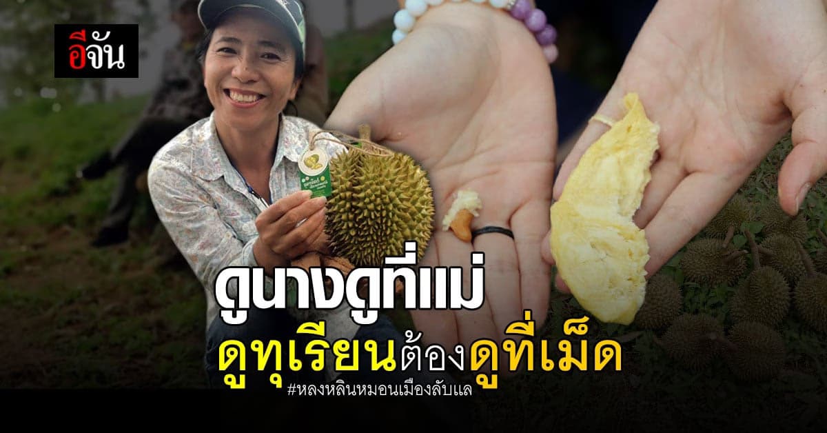 หลิน หลง หมอน ทุเรียนเมืองลับเเล ต่างกันยังไง ต้องดูที่เม็ด