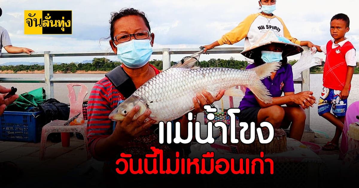 ชาวประมงโอด แม่น้ำโขง ผันผวน ใกล้วิกฤต น้ำลด หากินยาก ปลาใกล้สูญพันธุ์