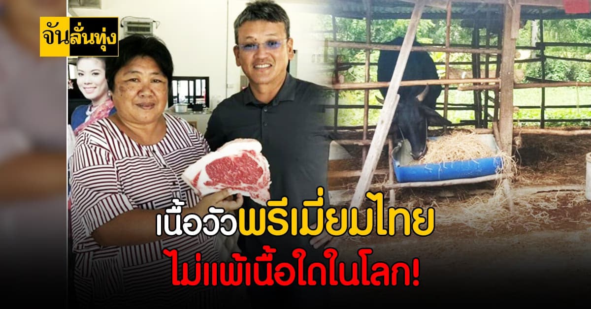 กองทุน FTA อัดงบ ดัน เนื้อวัวพรีเมี่ยม สุรินทร์ วากิว – โกเบ ตีตลาดไทย ขยายไปตลาดโลก