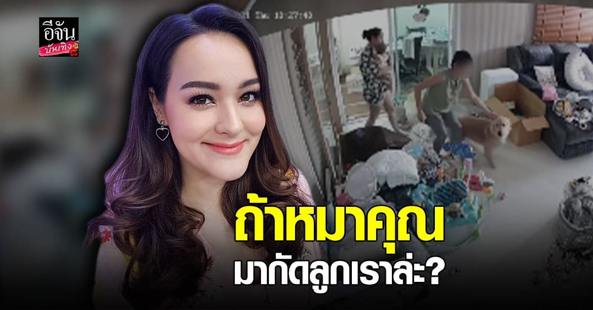 นาตาลี  อึ้ง หมา เพื่อนบ้าน ไล่กวดแมว ถึงในบ้าน ซัด คิดจะเลี้ยง ต้องดูแลได้