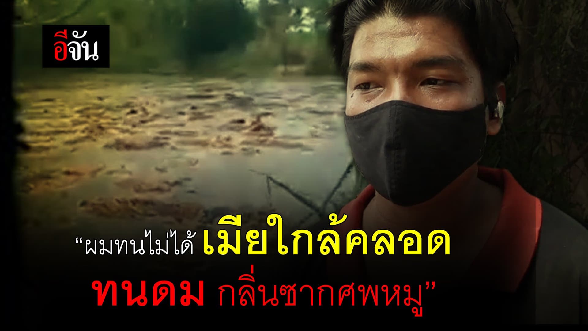 (Video) “ผมทนไม่ได้ เมียใกล้คลอด ทนดม กลิ่นซากศพหมู”