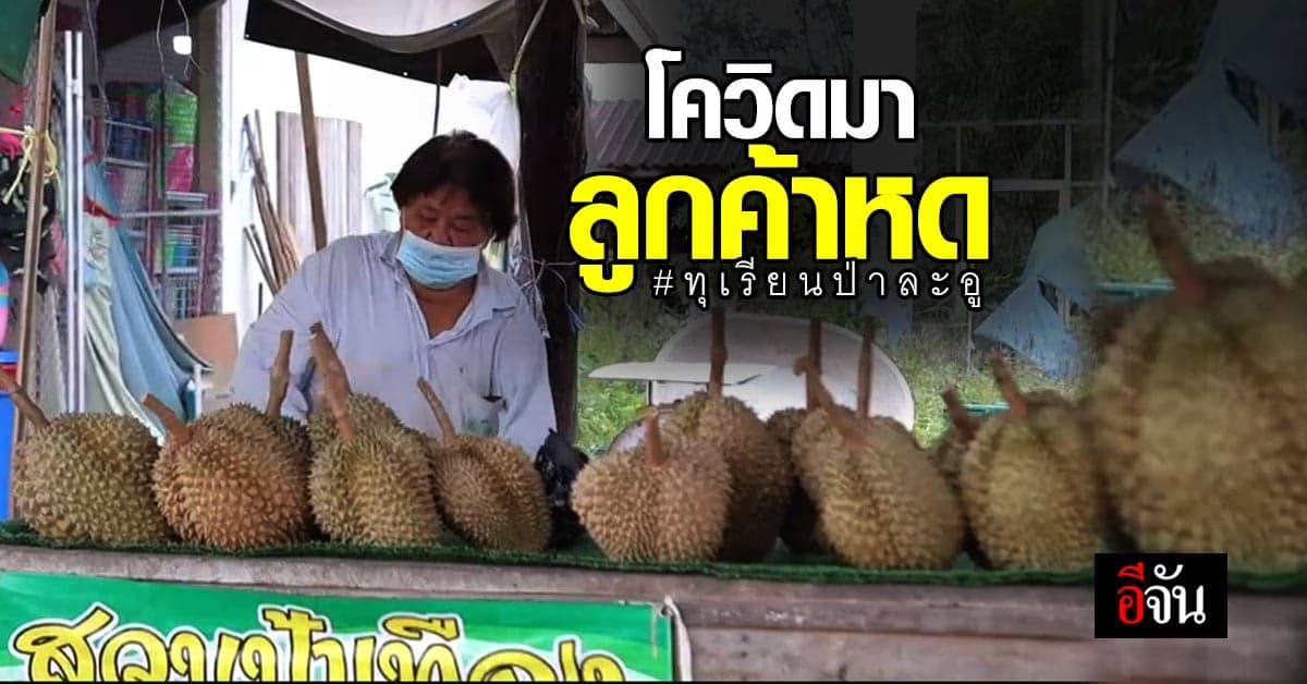 เสียงจาก พ่อค้าเเม่ขาย ทุเรียนป่าละอู ข้างทาง ลั่น พิษโควิด ลูกค้าขาจร น้อยลง