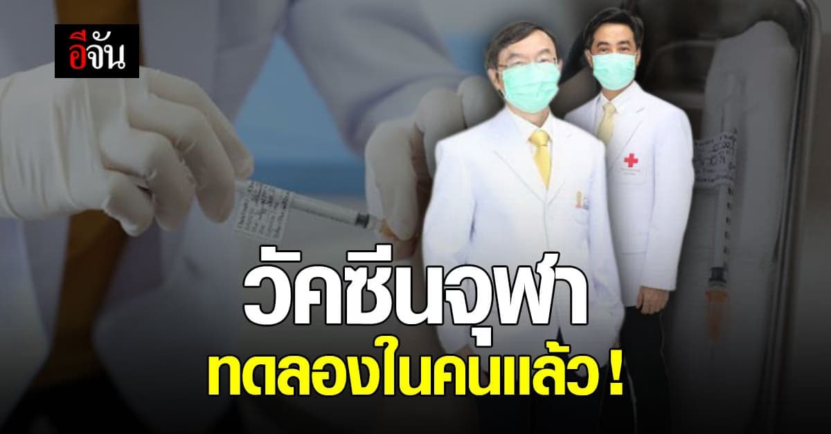 สำเร็จอีกขั้น ! แพทย์จุฬา ทดลอง วัคซีนจุฬาคอฟไนน์ทีน ในมนุษย์ ครั้งแรก