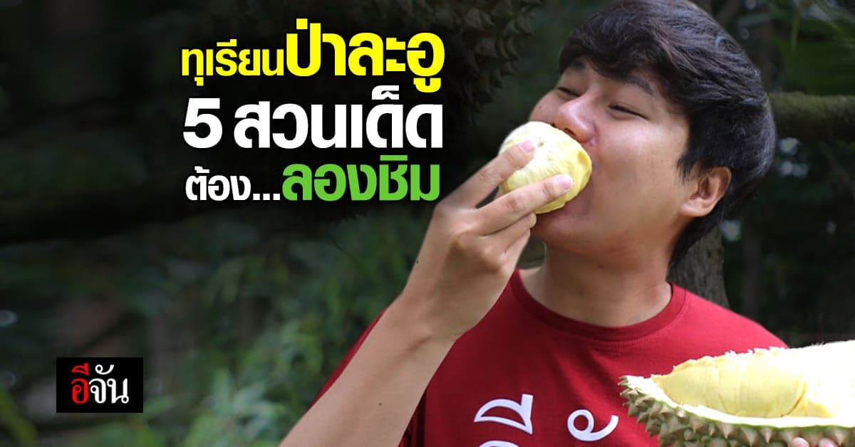 จับใจจัน 5 สวนเด็ด ทุเรียนป่าละอู ที่คุณต้องลอง