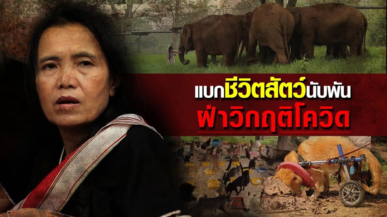 (Video) แบกชีวิตสัตว์นับพัน ฝ่าวิกฤติโควิด