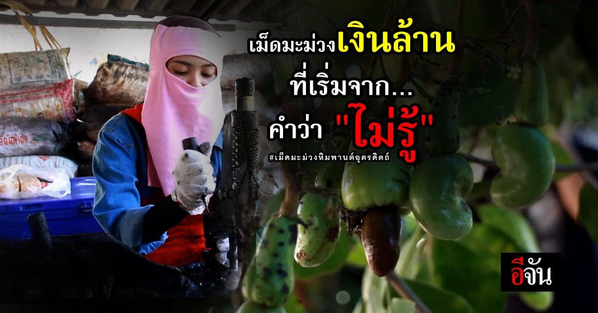 เจาะเรื่องราว เม็ดมะม่วงหิมพานต์ บ้านท่าปลา อุตรดิตถ์