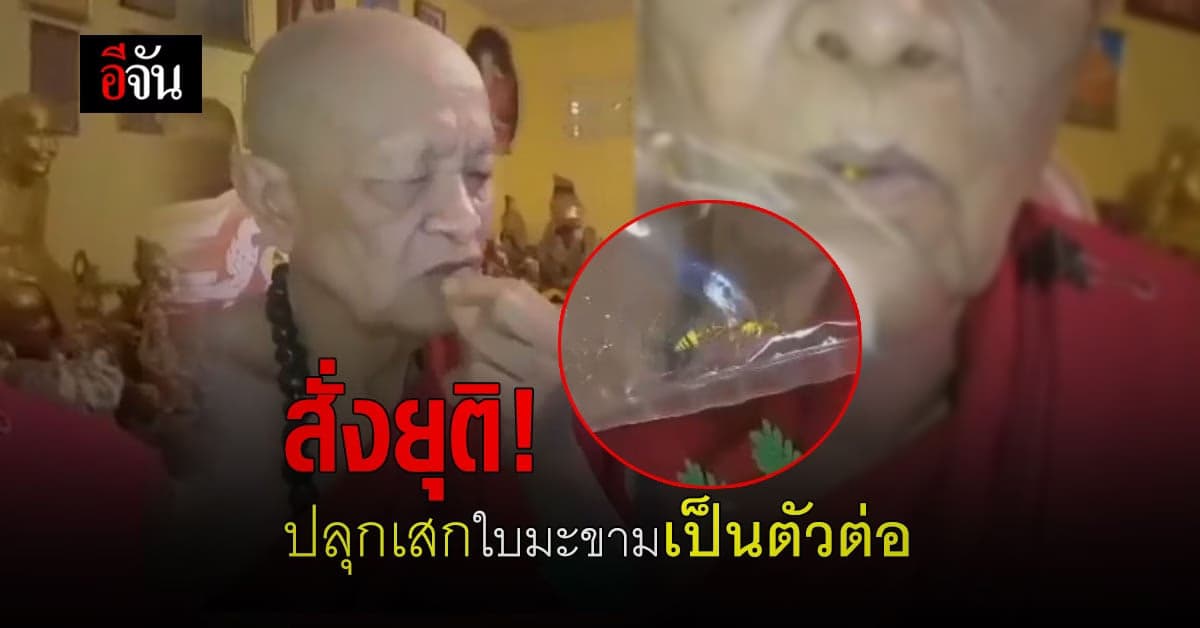 เจ้าคณะอำเภอ สั่งยุติ ปลุกเสกใบมะขามเป็นตัวต่อ ด้าน หลวงพ่อฤทธิ์เดช หายตัวจากสำนักสงฆ์