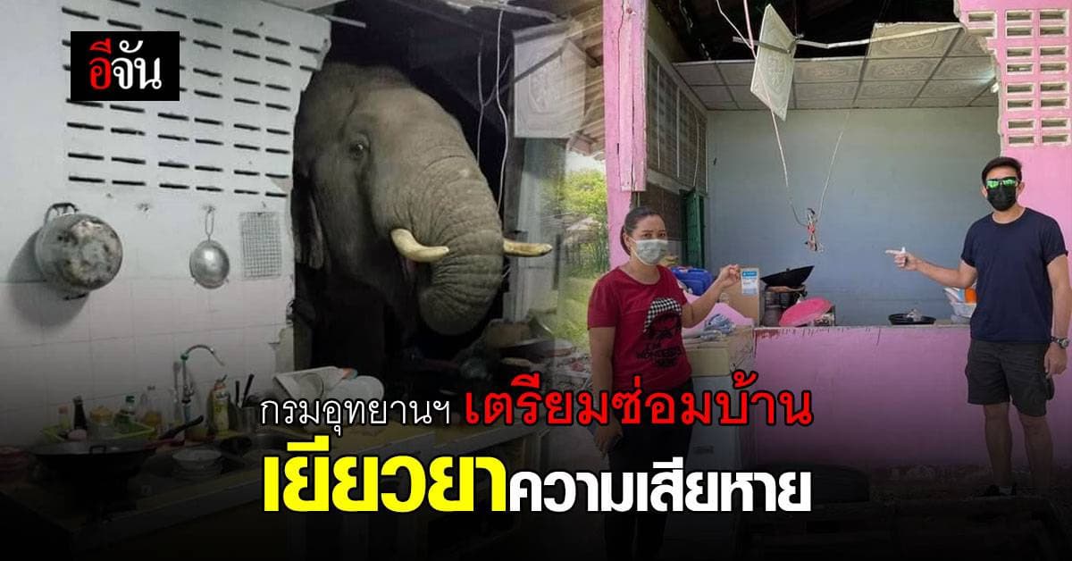 กรมอุทยานแห่งชาติฯ เตรียมเยียวยา ซ่อมแซมบ้าน กรณีช้างป่า บุกครัว หาของกิน