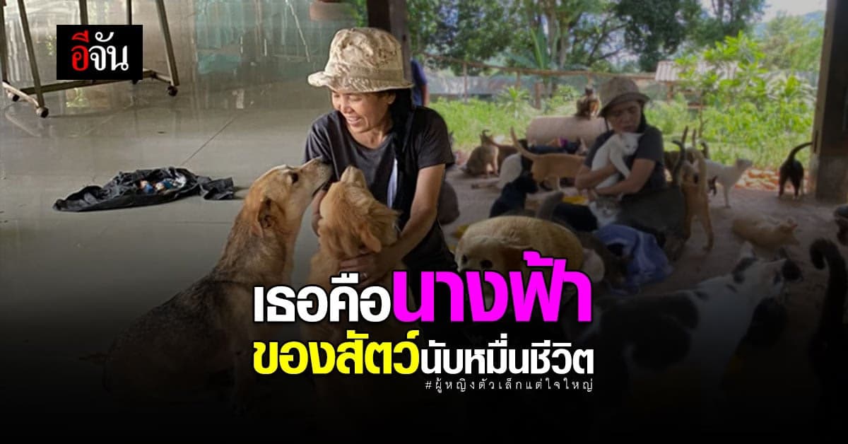 นางฟ้า กลางขุนเขา แม่เล็กแสงเดือน ทั้งชีวิต อุทิศเพื่อสัตว์