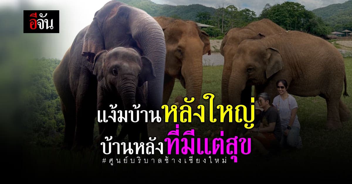 เยี่ยมศูนย์บริบาลช้างเชียงใหม่ กับความเป็นอยู่ สัตว์หลายพันชีวิต