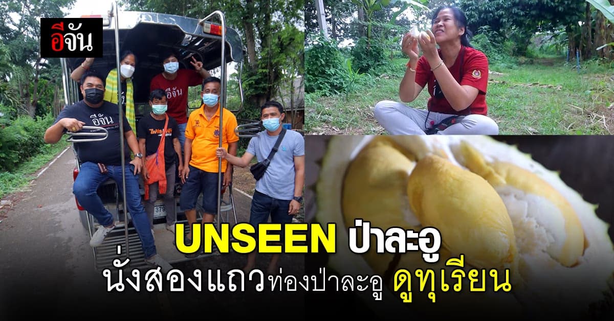 UNSEEN ป่าละอู นั่งสองแถวท่องป่าละอู ดูทุเรียน