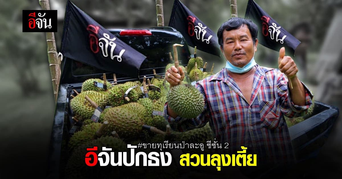 อีจันปักธง เหมา สวนลุงเตี้ย ขาย ทุเรียนป่าละอู ซีซั่น 2