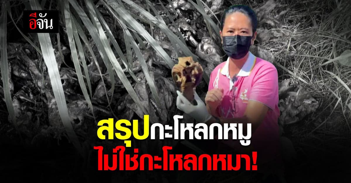 ที่แท้ กะโหลกสัตว์ ใต้สะพานข้าม แม่น้ำบางปะกง จ.ฉะเชิงเทรา เป็น กะโหลกหมู ไม่ใช่ กะโหลกหมา