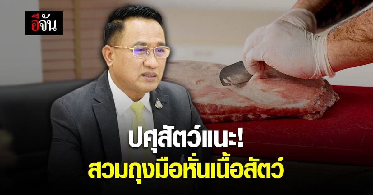 อธิบดีกรมปศุสัตว์ เผย โรคไข้หูดับ ติดเชื้อผ่านแผลที่มือพบไม่บ่อย แนะสวมถุงมือหั่นเนื้อสัตว์