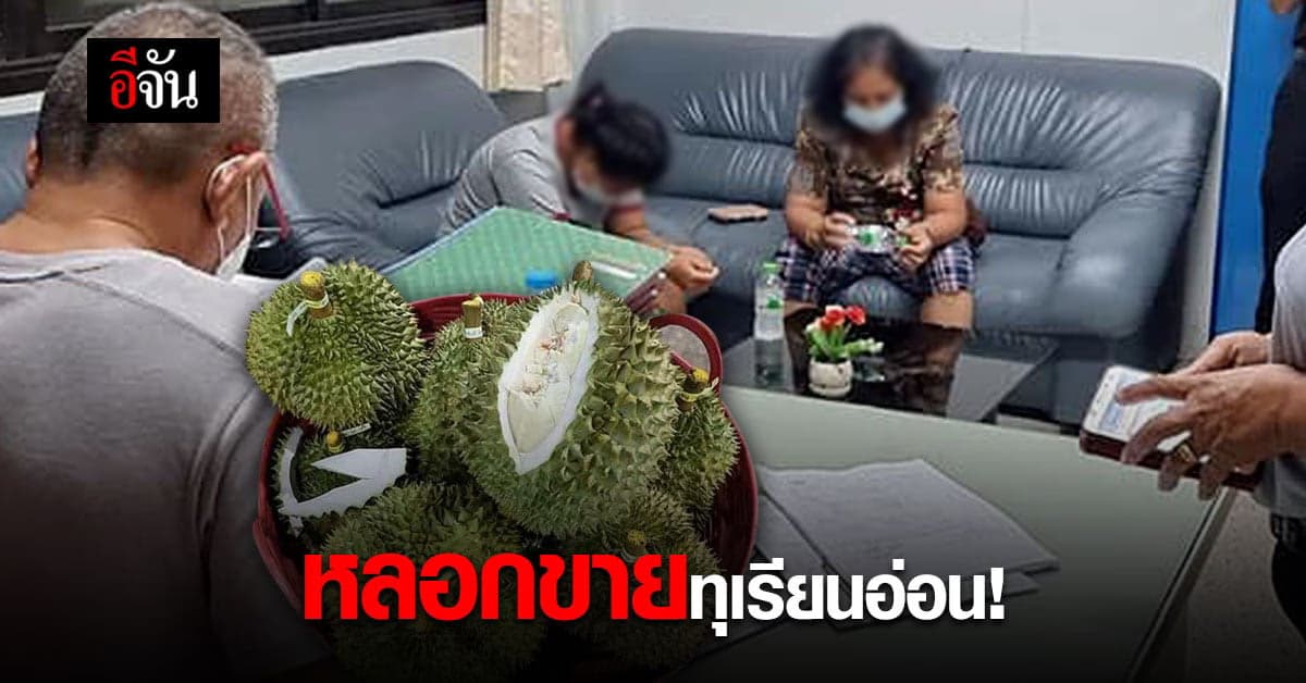 แม่ค้าหลอกขายทุเรียนอ่อน จ.ชุมพร จับจริง เสียชื่อ ทุเรียนหมอนทองชุมพร
