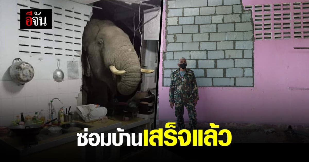 ซ่อมแล้ว! บ้านถูกช้างป่าพังทะลุห้องครัวมาหาของกิน