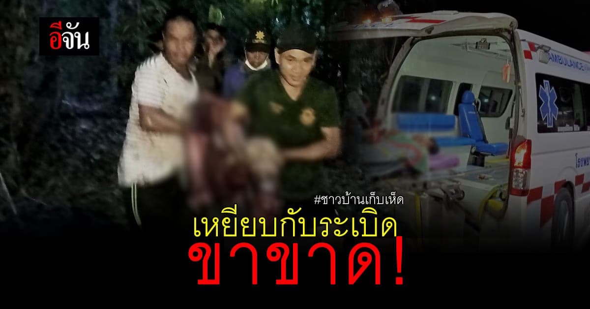 ชาวบ้านเข้าป่าเก็บเห็ด เหยียบกับระเบิด ขาขาด