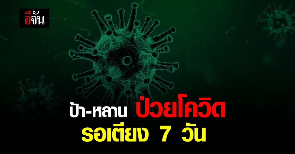 ป้า – หลาน ติดโควิด รอเตียง 7 วัน กินน้ำขิงบรรเทาอาการ