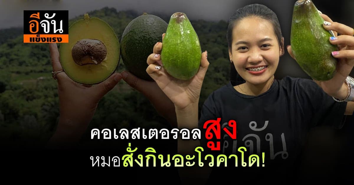 อะโวคาโด ผลไม้ที่หมอแนะนำ บอกต้องกินเยอะๆ ช่วยลดคอเลสเตอรอล