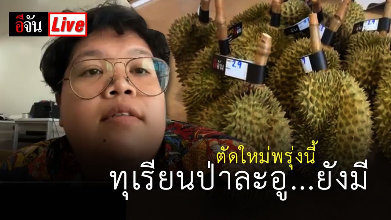 (Video) Live ทุเรียนป่าละอู ยังมี! ตัดใหม่พรุ่งนี้
