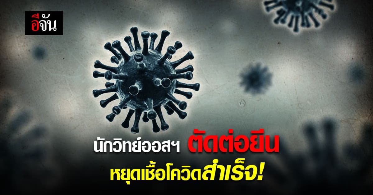 นักวิทย์ออสฯ ตัดต่อยีนหยุดเชื้อโคโรนาสำเร็จ ไม่ให้ก็อปปี้ตัวเองได้