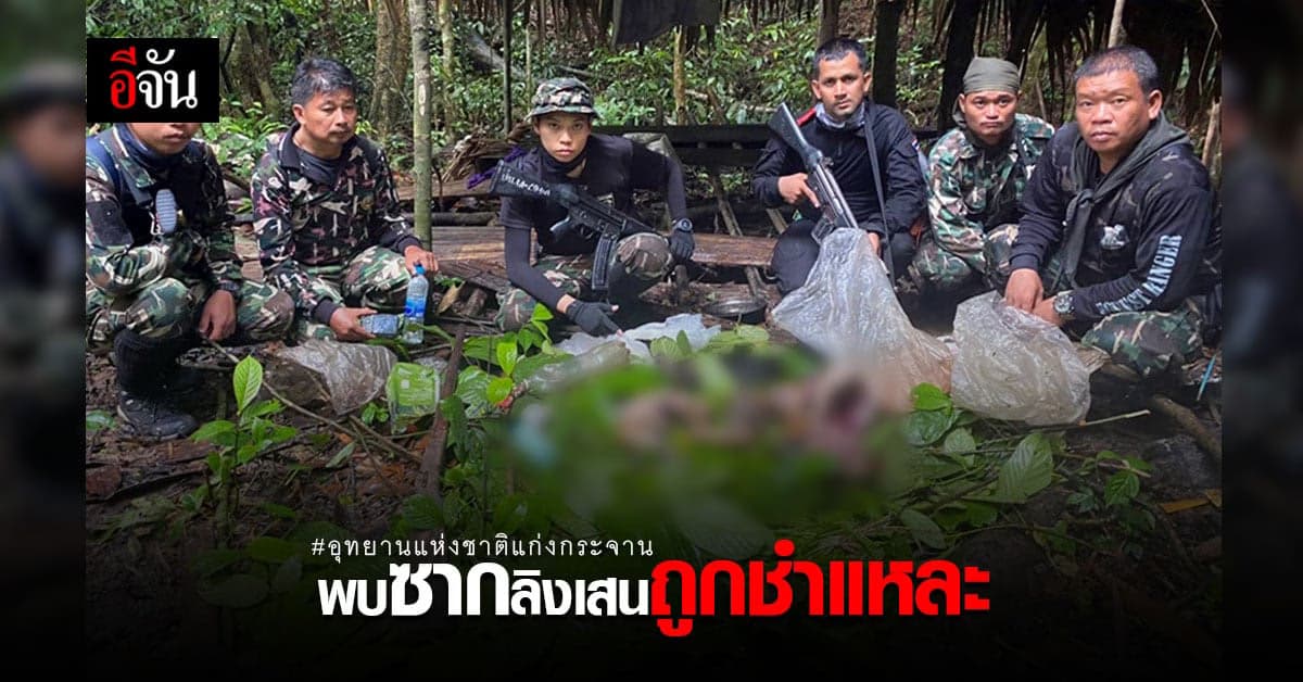 กรมอุทยานแห่งชาติ​ฯ ปฏิบัติการ รวมดาวกระจาย แก่งกระจาน พบ ซากลิงเสน​