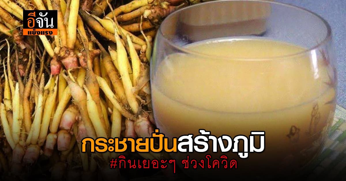 มหิดล วิจัย พบ น้ำกระชายปั่น สร้างภูมิร่างกาย แนะ กินดี ช่วงโควิดระบาด