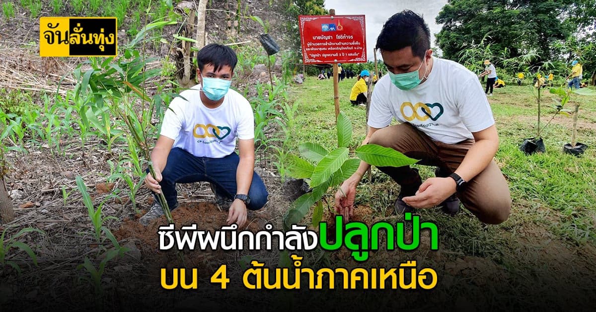 ซีพี ผนึกกำลัง เร่งปลูกป่าบน 4 ต้นน้ำภาคเหนือ