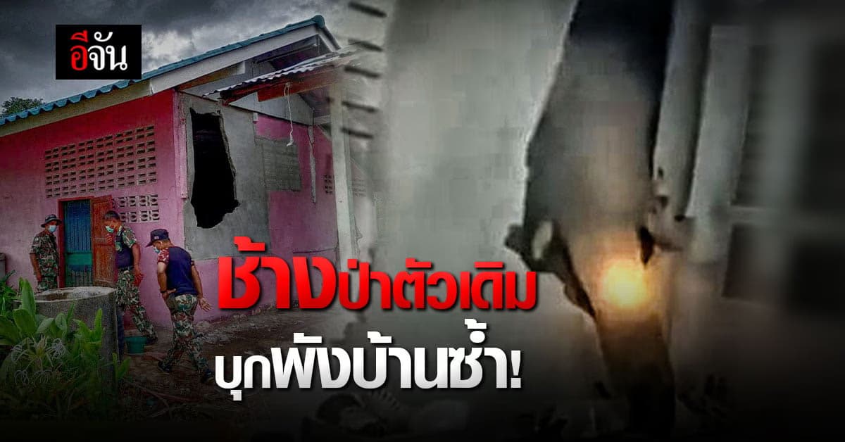 อีกแล้ว! พลายบุญช่วย ช้างป่า บุกพังบ้าน หาอาหาร ครั้งที่ 2