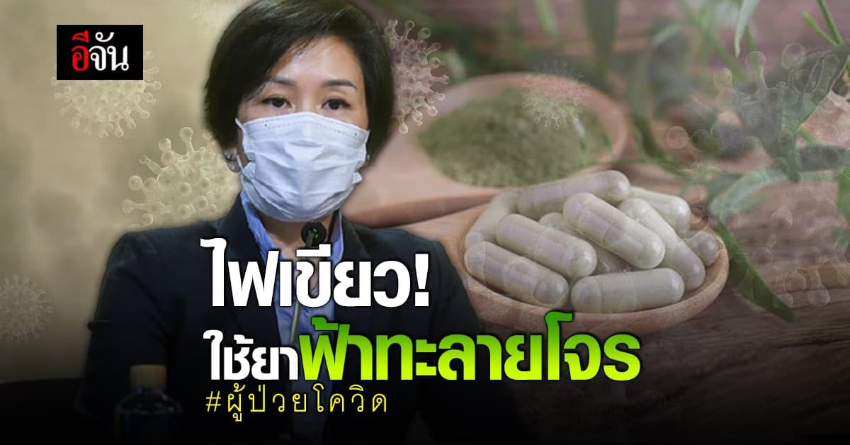 ครม. ไฟเขียว! ใช้ยาฟ้าทะลายโจร ในผู้ป่วยโควิด ที่ยังไม่มีอาการ