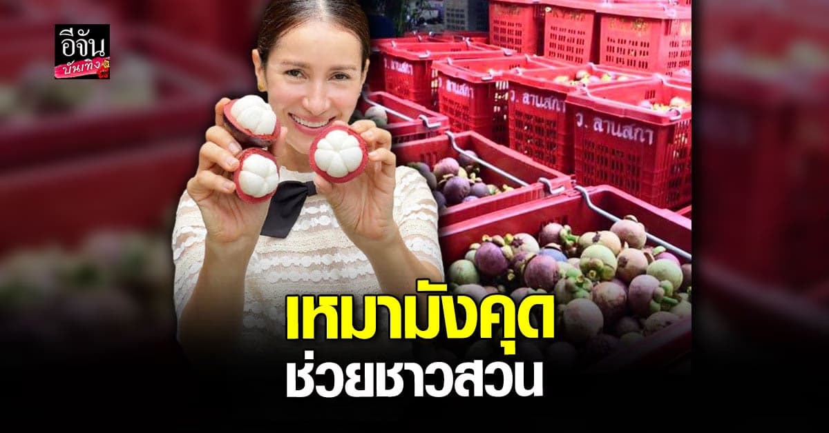 แอน ทองประสม เหมา มังคุด ช่วย ชาวสวน  แจกจ่าย ชาวบ้าน และ รพ.