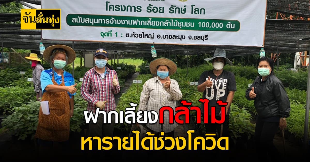 ซีพี ช่วยเหลือเกษตรกรช่วงโควิด สร้างรายได้ผ่านโครงการ ฝากเลี้ยงกล้าไม้