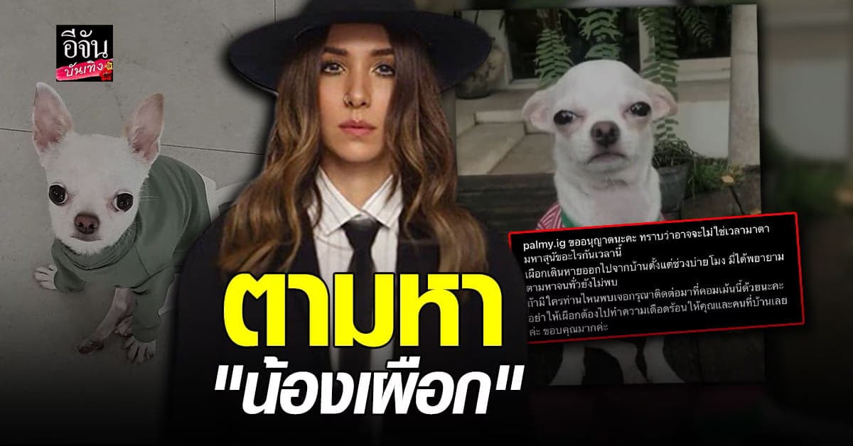 ยังไม่เจอ ปาล์มมี่ ประกาศหา สุนัขหาย ด้าน อั้ม-ตั๊ก ช่วยโพสต์หาอีกแรง