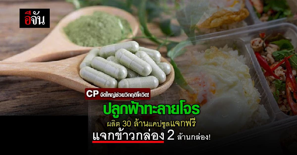 เครือซีพีจัด 2 โครงการสู้วิกฤติโควิดปลูกฟ้าทะลายโจร–แจกข้าว 2ล้านกล่อง