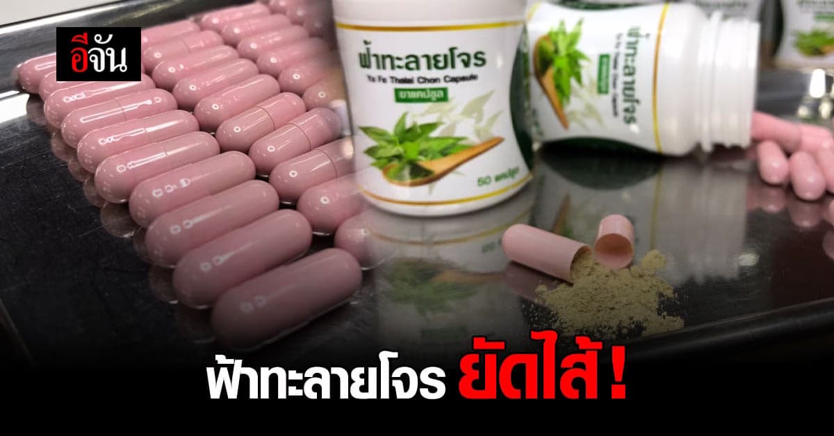 ฟ้าทะลายโจร ยัดไส้ บอระเพ็ด ! ปคบ.อย.รวบหนุ่มผลิต ยาฟ้าทะลายโจร เถื่อน