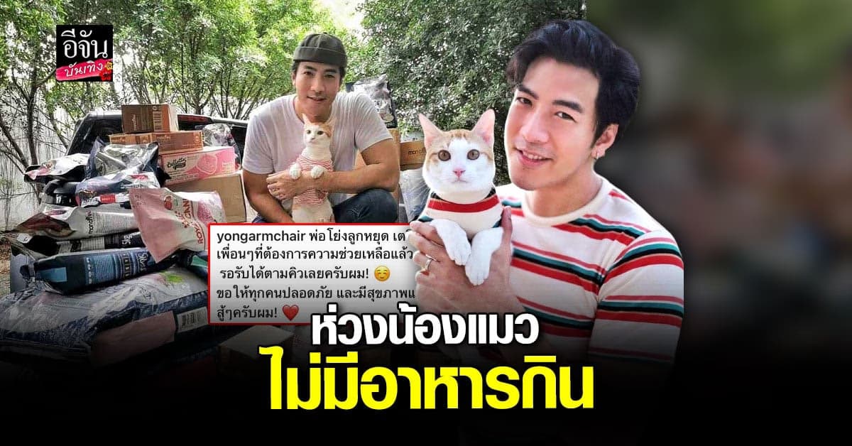 โย่ง อาร์มแชร์ ใจดีแจกอาหาร ให้น้องแมว ที่ไม่มีอาหารกิน