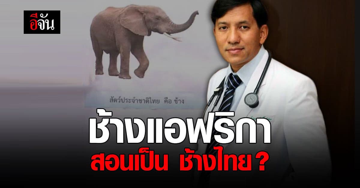 หมอหม่อง ไม่ทน! ชี้ การศึกษาไทยควรสอนสิ่งถูกต้องให้เด็กๆ