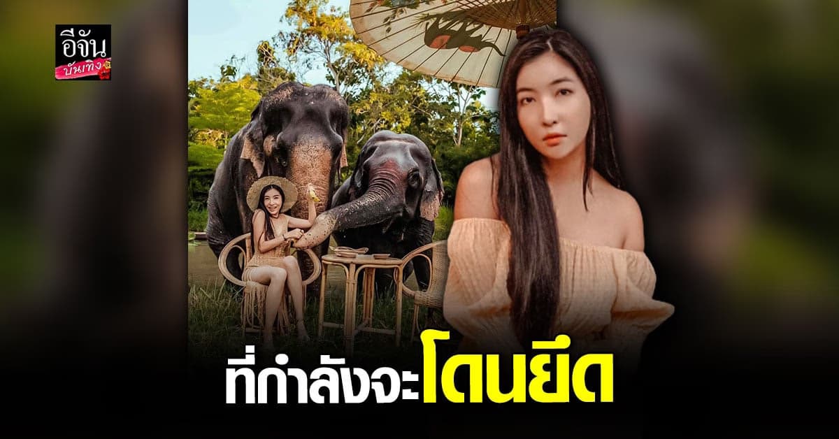 ลูกปัด ปุริมปรัชญ์ โพสต์เศร้า จำใจ ปล่อยที่ดิน 35 ไร่