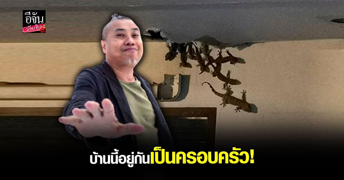 ป๋อง กพล โพสต์ภาพฝูง ตุ๊กแก บุกบ้าน เห็นแล้วขนลุก!