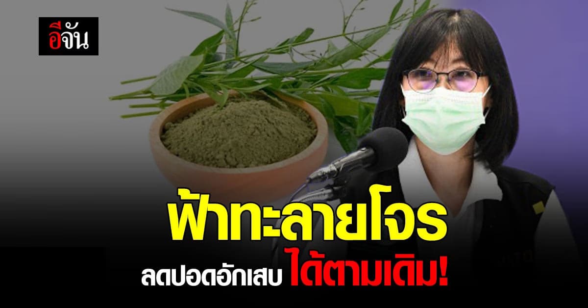สธ. แจงปม ถอนงานวิจัย ฟ้าทะลายโจร ยืนยัน ลดปอดอักเสบ ได้ตามเดิม