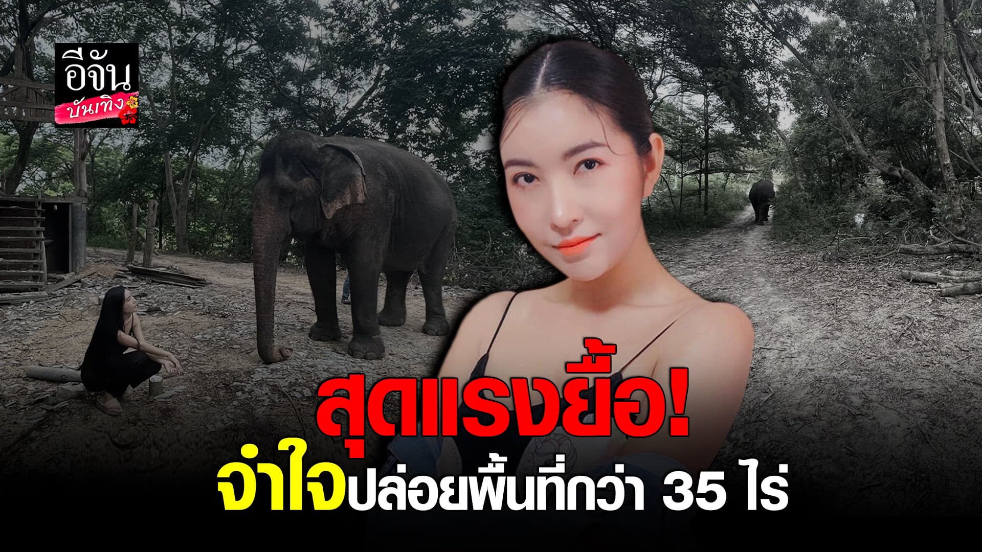 (video) คลิปบันเทิง : ลูกปัด ปุริมปรัชญ์ จำใจปล่อยพื้นที่กว่า 35 ไร่
