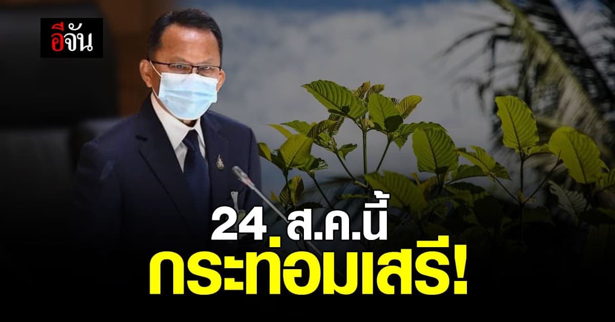 กระท่อมเสรี! 24 ส.ค.นี้ ปลูก-ซื้อ-ขายได้ เว้นผสมยาเสพติด